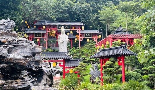 Phát hiện ngôi chùa cổ bình yên có cây thị gần 400 năm tuổi linh thiêng gần Hà Nội