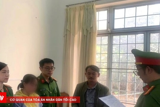 Mượn tiền đáo hạn ngân hàng rồi chiếm đoạt hơn 3,4 tỷ đồng