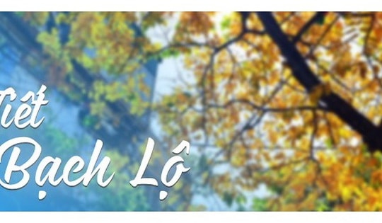 Cách khai vận cho 12 con giáp trong tiết khí Bạch Lộ để mang tới điềm may, tránh điều xui rủi