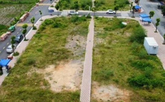 Bộ Tài nguyên thông tin việc kiểm tra 2 vụ đấu giá đất ở Thanh Oai, Hoài Đức