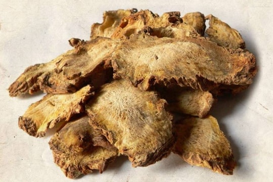 Cập nhật danh mục dược liệu độc làm thuốc từ ngày 10/10/2024