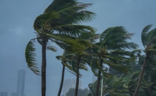 Bão số 3 Yagi cách Móng Cái 180km, mạnh cấp 14 giật cấp 17