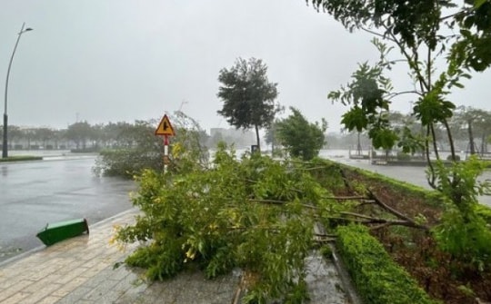 Thành ủy TP HCM chỉ đạo khẩn ứng phó bão số 3, sẵn sàng chia sẻ các địa phương