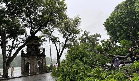 Cận cảnh phố cổ Hà Nội sau khi bão số 3 Yagi đi qua