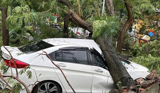 Hình ảnh cây xanh bật gốc, đè bẹp ô tô ở khu chung cư Hà Nội khi bão số 3 Yagi càn quét