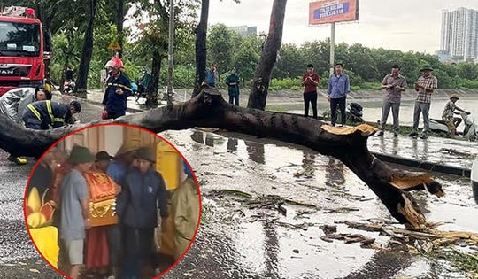 Chồng nạn nhân bị cây đè tử vong ở Hà Nội: "Tôi dặn vợ nếu mưa to quá thì mai hãy về"