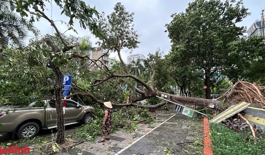 Hà Nội: Cảnh tan hoang trên nhiều tuyến phố sau khi bão số 3 đi qua