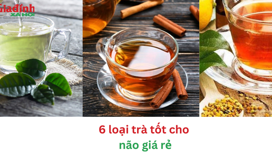 6 loại trà tốt cho não giá rẻ