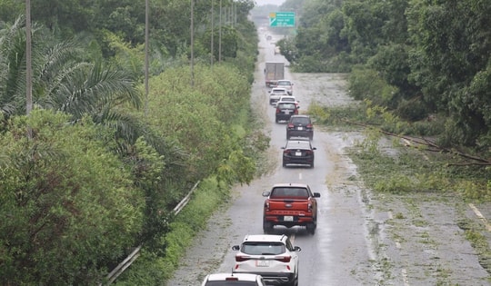 Đại lộ Thăng long ‘hóa’ rừng sau bão số 3, hàng loạt phương tiện nối nhau đi qua lối mòn