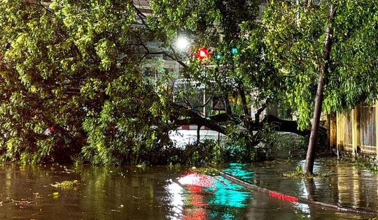 Đường phố Hà Nội tan hoang sau khi bão Yagi đổ bộ