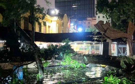 Bí thư Hà Nội: Không để thiếu lương thực, vật tư y tế