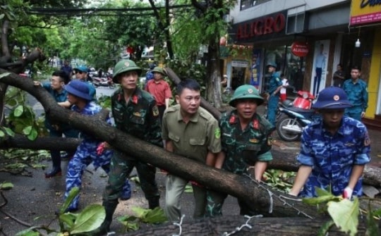 Người dân Hà Nội hối hả thu dọn cây gãy đổ, cứu hộ ô tô sau bão Yagi