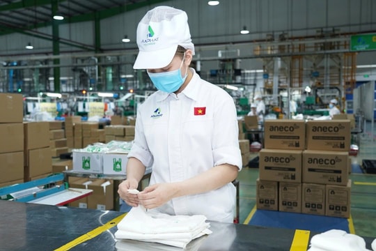 An Phát Holdings và Nhựa An Phát Xanh cùng điều chỉnh giảm kế hoạch kinh doanh