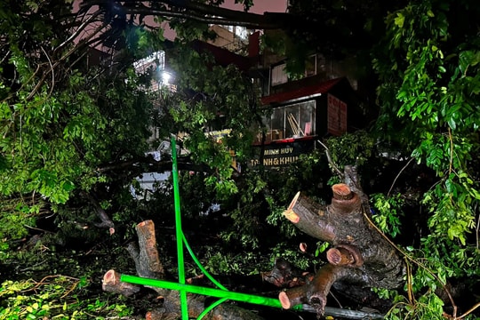 Bảo hiểm PVI bồi thường 320 tỷ đồng, AIA chi trả 6,5 tỷ đồng cho 5 khách hàng tử vong