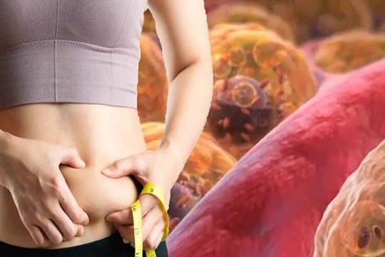 3 mẹo đơn giản giúp giảm 1 kg mỡ dư thừa trong 2 tuần