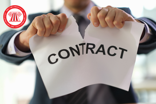 Năm 2024, có được sa thải nhân viên không đi du lịch với công ty không?