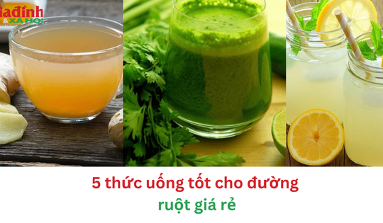 5 thức uống tốt cho đường ruột giá rẻ