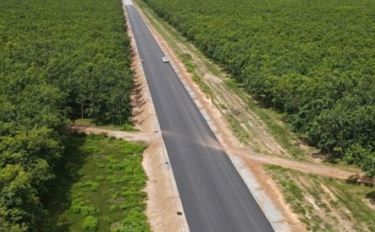 Diện mạo dự án đường Hồ Chí Minh xuyên rừng cao su ở Bình Dương