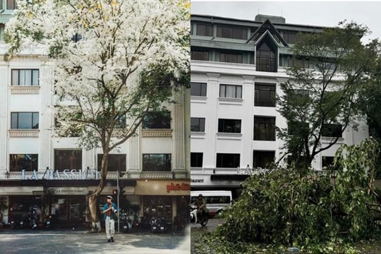 Du khách xót xa thấy cảnh ở nơi 'sống ảo' nổi tiếng Hà thành