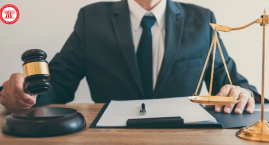 Quản tài viên là gì? Căn cứ chỉ định Quản tài viên mới nhất