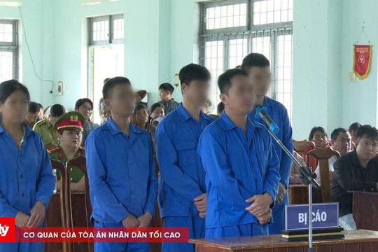 Khai thác lâm sản trái phép, nhóm đối tượng lĩnh án