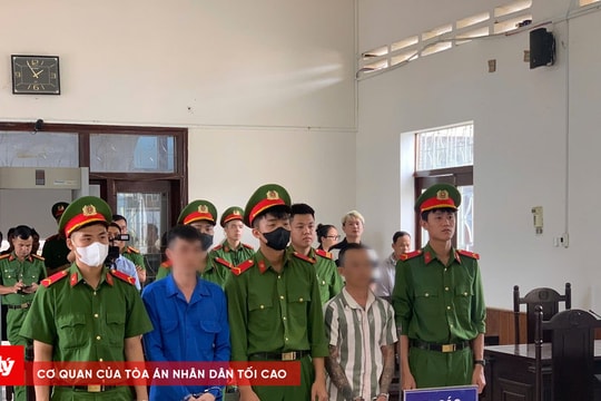 Tàng trữ ma túy, thanh niên lĩnh 17 năm tù