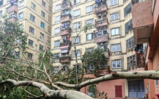 Cảnh khu đô thị, khu chung cư hoang tàn sau bão