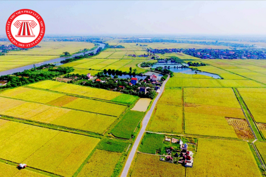 Có được cưỡng chế thực hiện quyết định kiểm đếm bắt buộc khi thu hồi đất đối với người có đất vắng mặt tại địa phương?