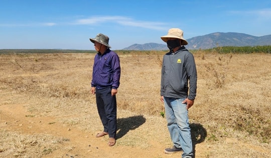 Khó hiểu dự án chuyển đổi gần 900 ha rừng ở Gia Lai