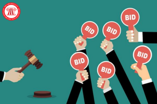 Năm 2024, có được ủy quyền cho giám đốc chi nhánh tham gia đấu thầu?