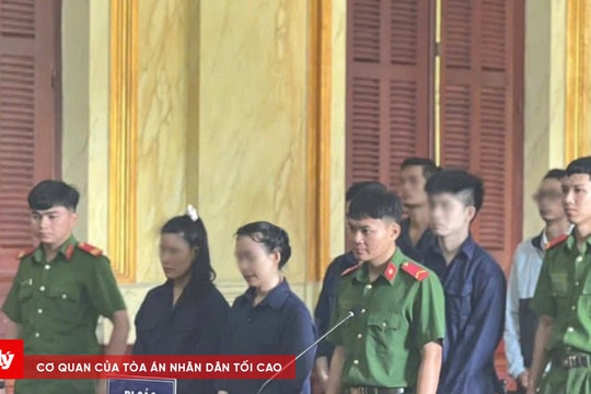 Tòa trả hồ sơ điều tra bổ sung vụ làm giả giấy khám sức khỏe quy mô lớn