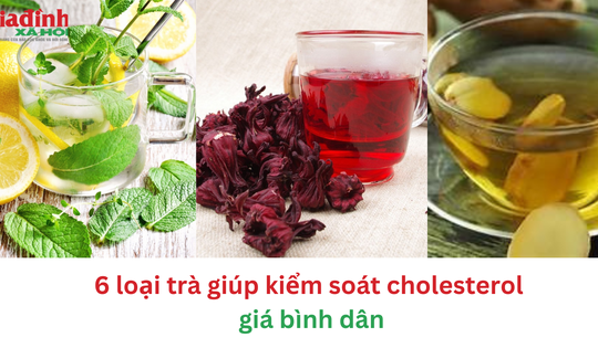 6 loại trà giúp kiểm soát cholesterol giá bình dân