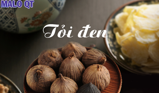 Tập hợp các tinh chất quý hiếm từ thảo dược cho bài thuốc hỗ trợ tăng cường miễn dịch