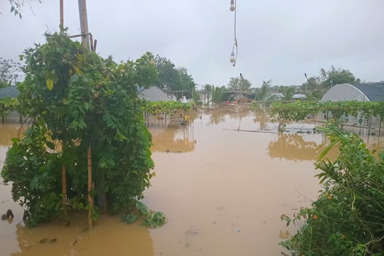 Sau bão Yagi: Hướng dẫn xử lý nước ăn uống và vệ sinh môi trường sau bão lụt