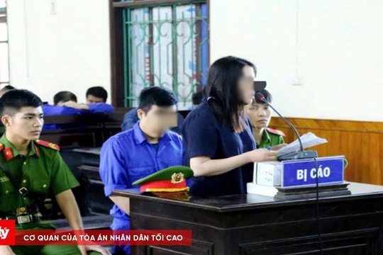 Án chung thân cho cặp vợ chồng lừa đảo hơn 70 tỷ đồng