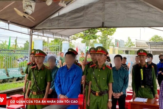 Góp tiền mua ma túy về sử dụng chung