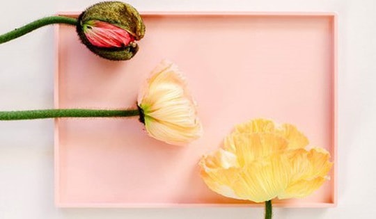 Âm đạo thay đổi thế nào theo thời gian và 'chuyện ấy' có trở ngại?