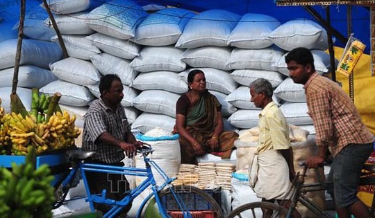 Giá gạo xuất khẩu của Ấn Độ giảm xuống mức thấp nhất 8 tháng