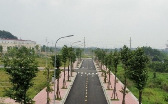 Lập đỉnh 99,2 triệu/m2, Đan Phượng sắp đấu giá 26 lô đất khởi điểm 14 triệu/m2