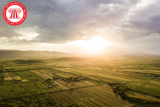 Doanh nghiệp có phải tự kê khai hiện trạng sử dụng đất và báo cáo khi chưa có sổ đỏ không?