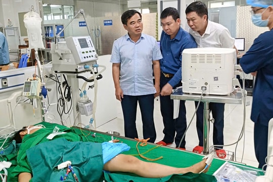 Hai học sinh bị ong bắp cày đốt đang nguy kịch