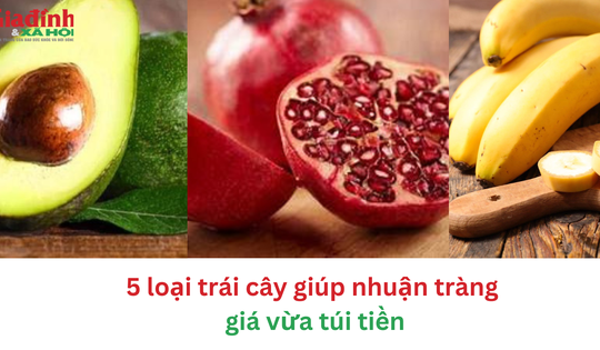 5 loại trái cây giúp nhuận tràng giá rẻ như cho