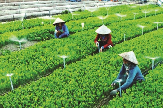 Tổng hợp văn bản hướng dẫn Luật Hợp tác xã 2023