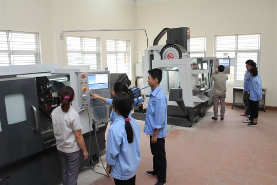 Chính sách hỗ trợ phát triển nguồn nhân lực hợp tác xã