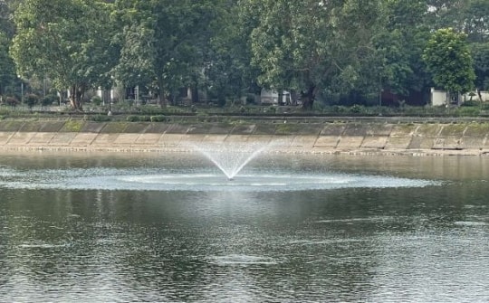 Xôn xao clip cá nhảy tanh tách khỏi mặt nước hồ Linh Đàm