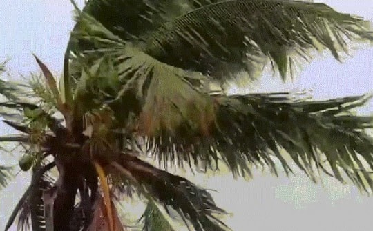 Bão số 4 đổ bộ Quảng Bình - Quảng Trị