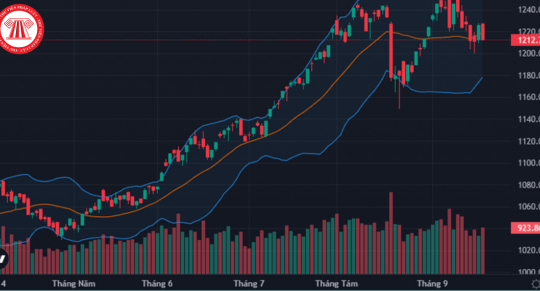Hướng dẫn thanh toán giao dịch mua cổ phiếu của nhà đầu tư nước ngoài là tổ chức từ 02/11/2024