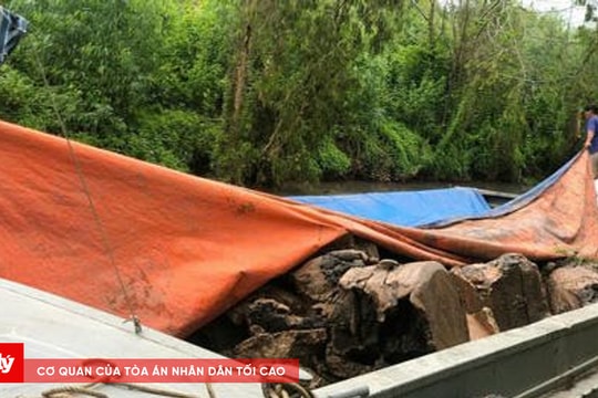 Bắt quả tang 2 vụ khai thác đất trái phép