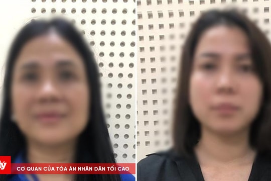 Nữ đại gia xăng dầu hối lộ 22 lần, bị cấp dưới "cắt xén" 55.000 USD