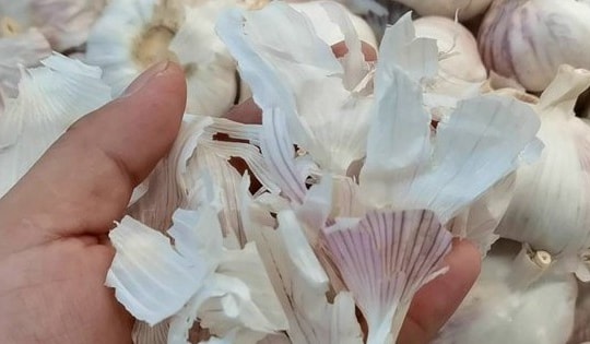 Công dụng tuyệt vời của vỏ hành tây, vỏ tỏi, biết được rồi bạn đừng vội bỏ đi